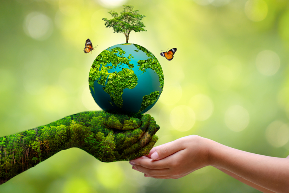 Environment Day
